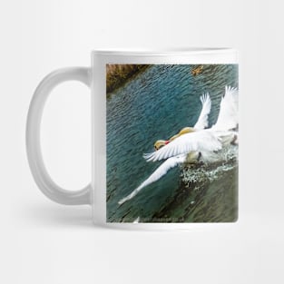 Fighting Swans Mug